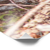 Schöne Kühe Fotodruck (Ecke)