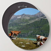 Schöne Kühe hoch oben in den Bergen Button (Vorne & Hinten)