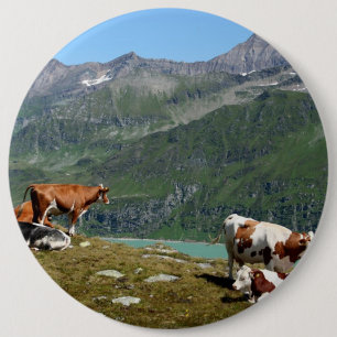 Schöne Kühe hoch oben in den Bergen Button