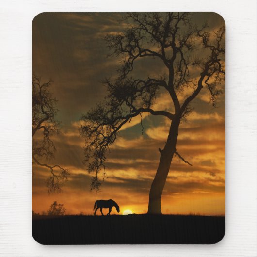 Schöne Kunst Pferd Fotografie Mousepad (Vorne)