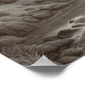 Schöne Kunst- und Mittelalterlandschaft Poster (Ecke)