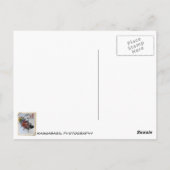 Schöne Kunst & Wein Postkarte! Postkarte (Rückseite)