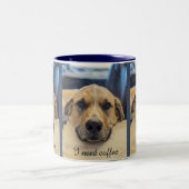 Schöne Labrador Boy Tasse (Mittel)