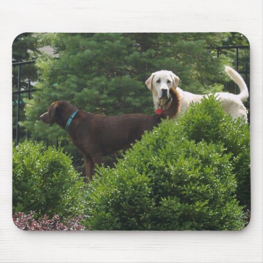 Schöne Labrador-Mausunterlage Mousepad (Vorne)