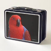 Schöne "Lady in Red" Eclectus Parrot Metall Brotdose (Rückseite)