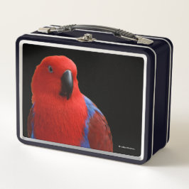 Schöne "Lady in Red" Eclectus Parrot Metall Brotdose
