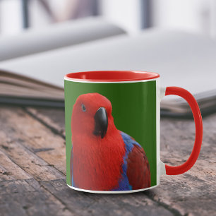 Schöne "Lady in Red" Eclectus Parrot Tasse