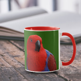 Schöne "Lady in Red" Eclectus Parrot Tasse