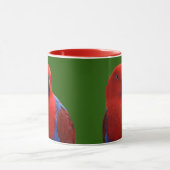 Schöne "Lady in Red" Eclectus Parrot Tasse (Zentrum)