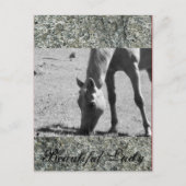 Schöne Lady Postkarte (Vorderseite)