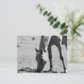 Schöne Lady Postkarte (Stehend Vorderseite)