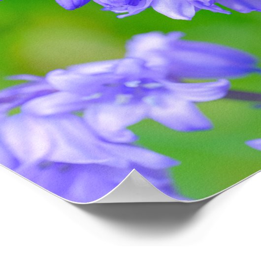 Schöne Ladybug auf Bluebells 8x12" Print Poster (Ecke)