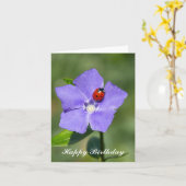 Schöne Ladybug auf der Birthday Card Periwinkle Karte (Gelbe Blume)