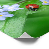 Schöne Ladybug auf Vergessen-ich-nicht Poster (Ecke)