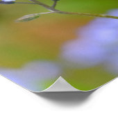 Schöne Ladybug auf vergessene-me-not 8x12" Print Poster (Ecke)