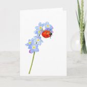 Schöne Ladybug Zeichnend geklappte Grußkarte Karte (Vorderseite)