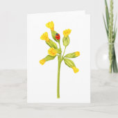 Schöne Ladybug Zeichnend geklappte Grußkarte Karte (Vorderseite)