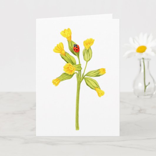Schöne Ladybug Zeichnend geklappte Grußkarte Karte (Kleine Pflanze)