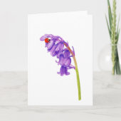 Schöne Ladybug Zeichnend geklappte Grußkarte Karte (Vorderseite)