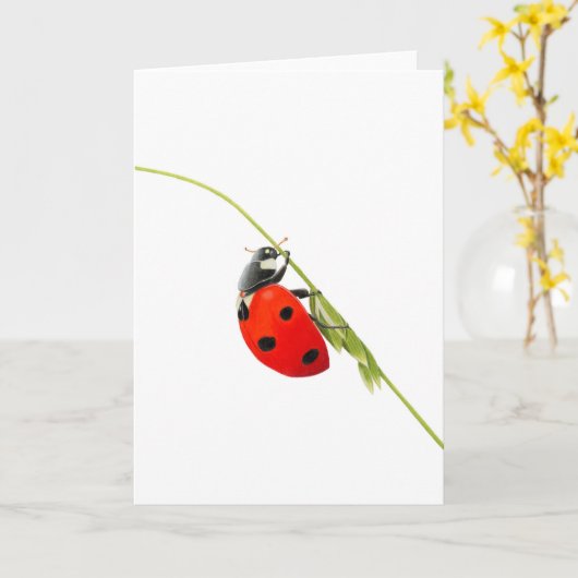 Schöne Ladybug Zeichnend geklappte Grußkarte Karte (Gelbe Blume)