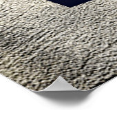 Schöne Lalique Parfüms Flaschen Poster (Ecke)