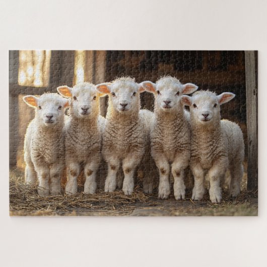 Schöne Lämmer in einem rustikalen Bauernhof Puzzle (Horizontal)