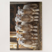 Schöne Lämmer in einem rustikalen Bauernhof Puzzle (Vertikal)