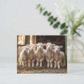 Schöne Lämmer in einer Reihe rustikal Postkarte (Stehend Vorderseite)