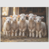 Schöne Lämmer in einer Reihe rustikaler Dekodierun Seidenpapier (Vorderseite)