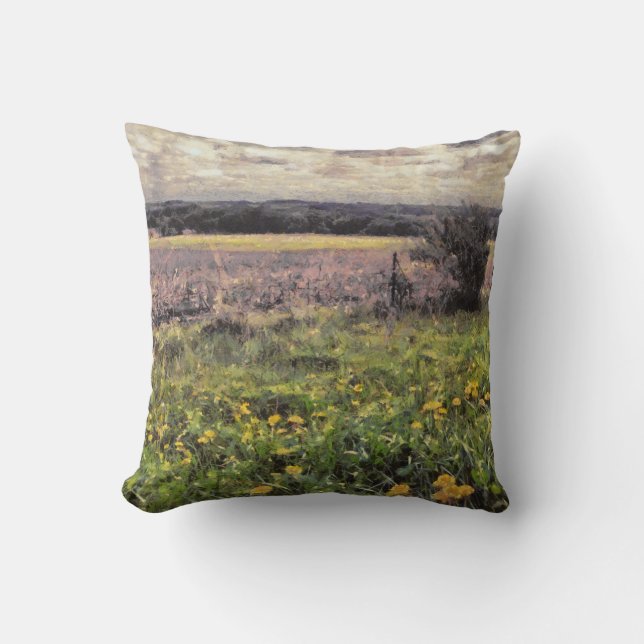 Schöne Landschaft der Landschaft des ländlichen Mi Kissen (Vorderseite)