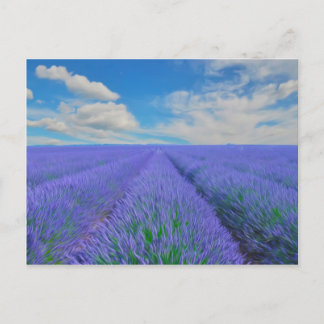 Schöne Landschaft der Lavendelfelder Postkarte