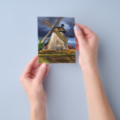 Schöne Landschaft der niederländischen Windmühle - Flyer (Gruppe)