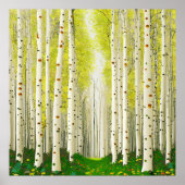 Schöne Landschaft des Birkenwaldes Poster (Vorne)
