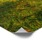 Schöne Landschaft im Herbst Poster (Ecke)