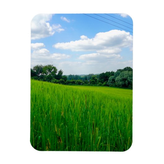 Schöne Landschaft Magnet (Vertikal)
