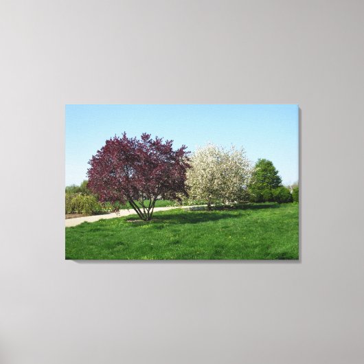 Schöne Landschaft mit Bäumen Leinwanddruck (Vorderseite)
