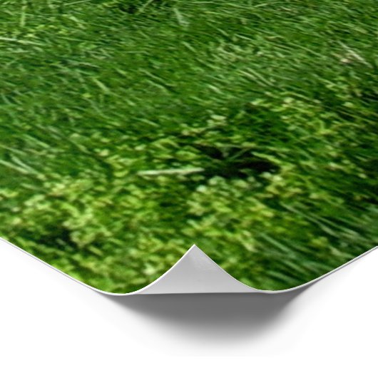 Schöne Landschaft mit Bäumen Poster (Ecke)