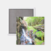 Schöne Landschaft mit natürlichen Wasserfällen NH  Magnet (Vorderseite/Rückseite)