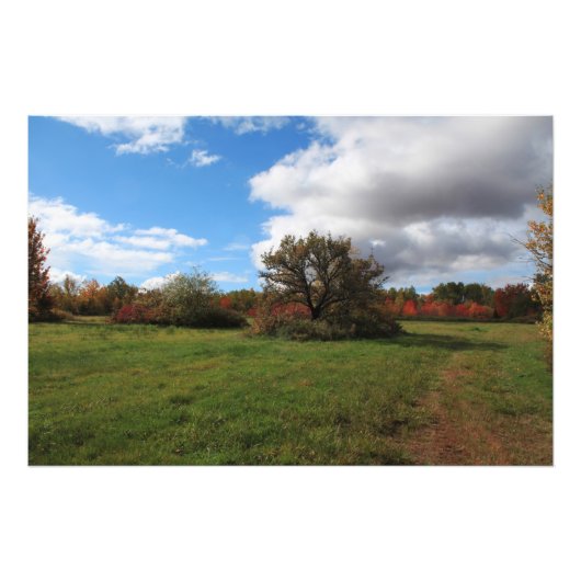 Schöne Landschaft Nova Scotia Landschaft Fotodruck (Vorne)