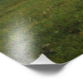Schöne Landschaft Nova Scotia Landschaft Fotodruck (Ecke)