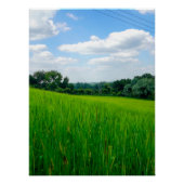 Schöne Landschaft Poster (Vorderseite)