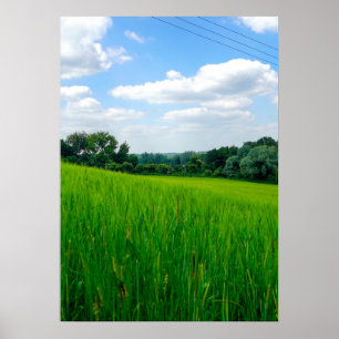 Schöne Landschaft Poster
