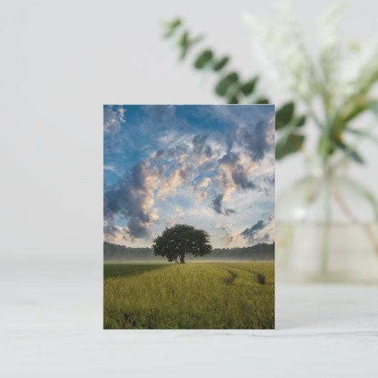 Schöne Landschaft Postkarte (Stehend Vorderseite)