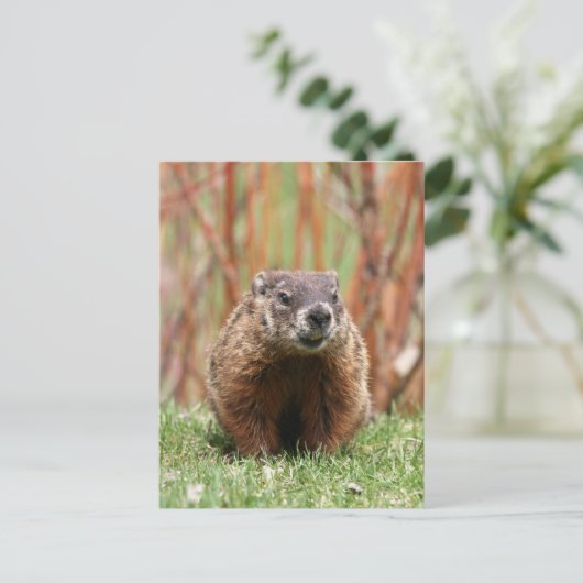 Schöne Landschaft Postkarte (Stehend Vorderseite)