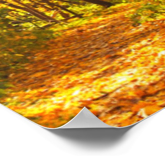 Schöne Landschaft - Straße im Herbstwald Poster (Ecke)