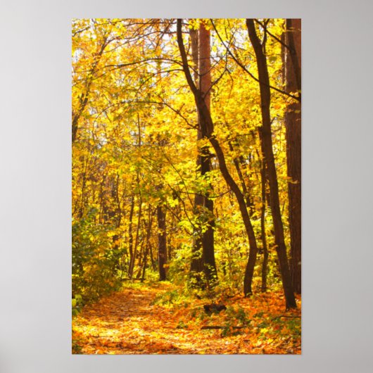 Schöne Landschaft - Straße im Herbstwald Poster (Vorne)