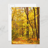 Schöne Landschaft - Straße im Herbstwald Postkarte (Vorne/Hinten)