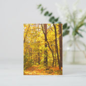 Schöne Landschaft - Straße im Herbstwald Postkarte (Stehend Vorderseite)