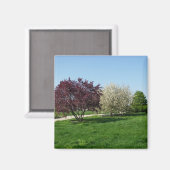 Schöne Landschaft und Bäume Magnet (Vorderseite/Rückseite)