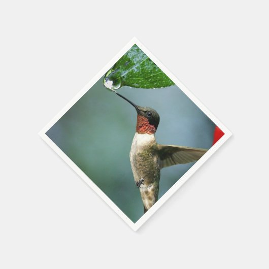 Schöne Landschaft von Hummingbird Serviette (Ecke)